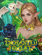 วิธี สมัคร เว็บ พนัน ให้เจ๋งที่สุดสำหรับมือใหม่